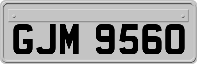 GJM9560