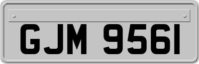 GJM9561
