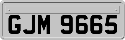 GJM9665