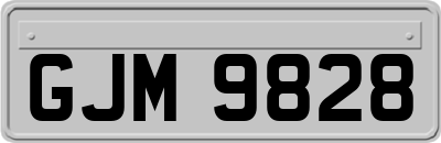 GJM9828