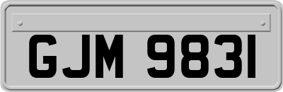 GJM9831