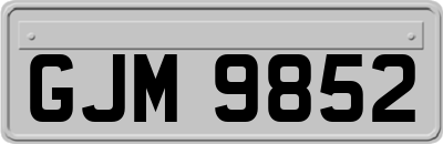 GJM9852