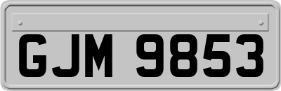GJM9853