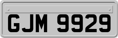 GJM9929