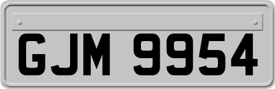GJM9954