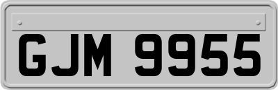 GJM9955