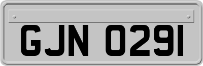 GJN0291