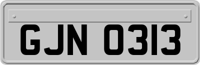 GJN0313