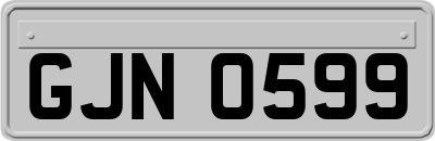 GJN0599