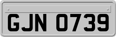 GJN0739
