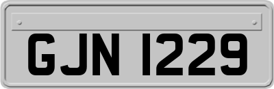 GJN1229