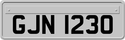 GJN1230