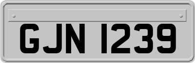 GJN1239
