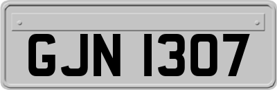 GJN1307