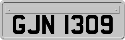 GJN1309