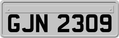 GJN2309
