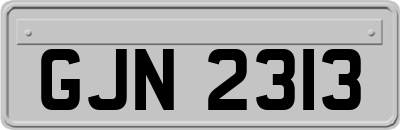 GJN2313