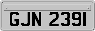 GJN2391