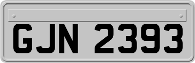 GJN2393