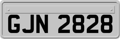 GJN2828