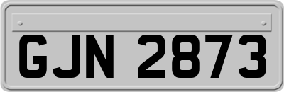 GJN2873