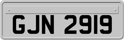GJN2919