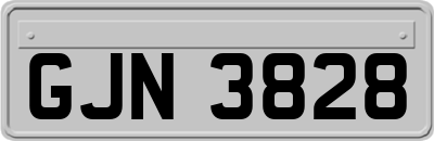 GJN3828