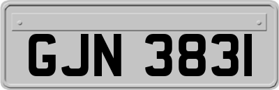 GJN3831