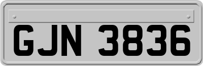 GJN3836