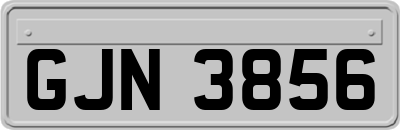 GJN3856