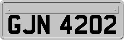 GJN4202