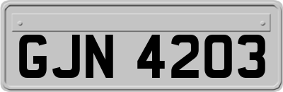 GJN4203