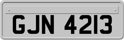 GJN4213