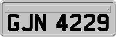 GJN4229