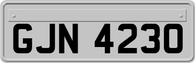 GJN4230
