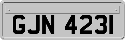 GJN4231
