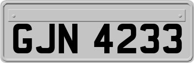 GJN4233