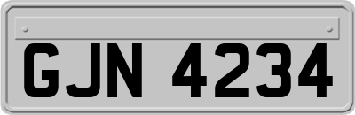 GJN4234