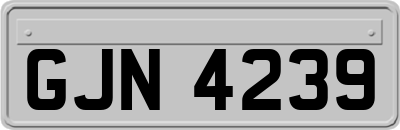 GJN4239