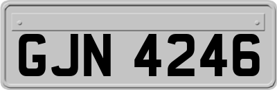 GJN4246