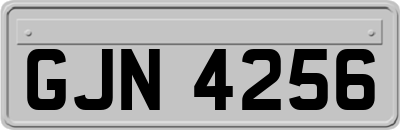 GJN4256
