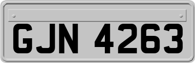 GJN4263