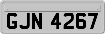 GJN4267