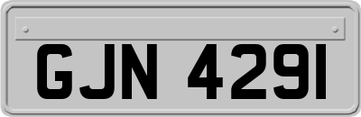GJN4291