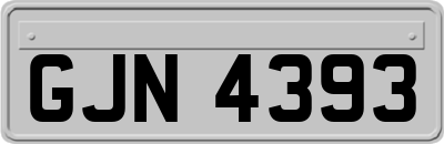 GJN4393