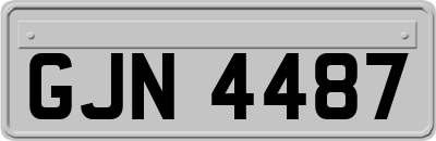 GJN4487