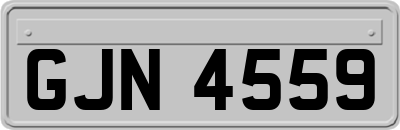 GJN4559