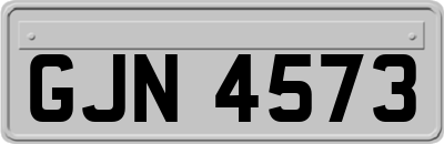 GJN4573