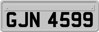 GJN4599