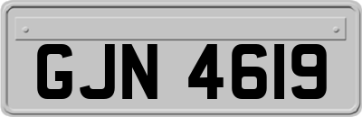 GJN4619